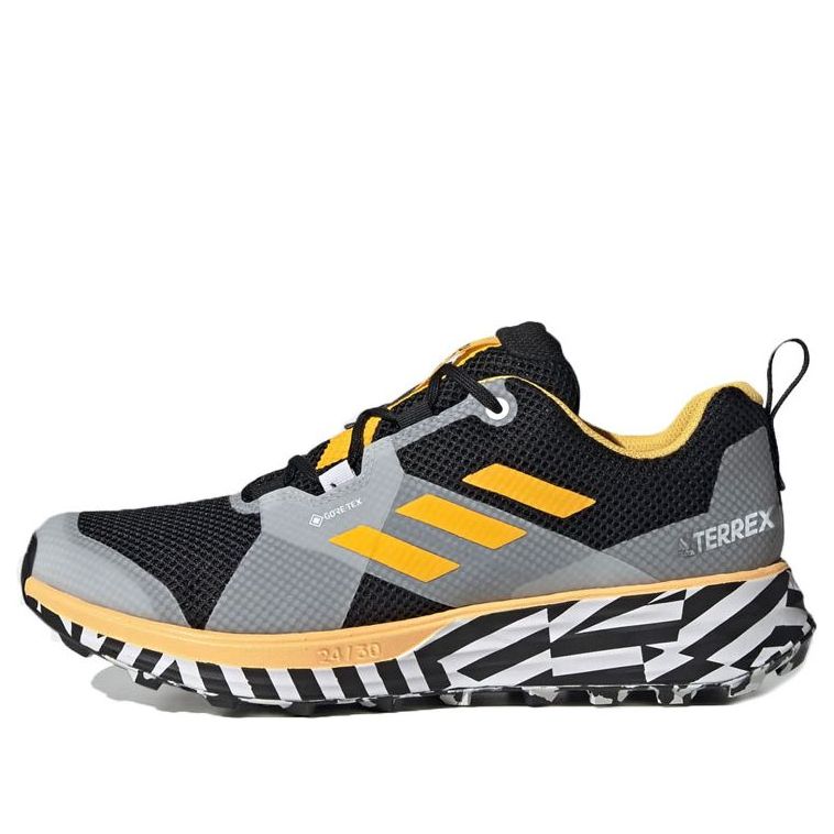 adidas Terrex Two GTX Trail 'Black Solar Gold' FW9871