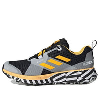 adidas Terrex Two GTX Trail 'Black Solar Gold' FW9871