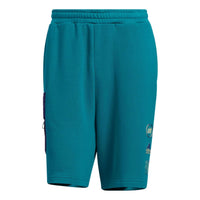 adidas ST Graphic knitted Shorts 'Teal' HE7443