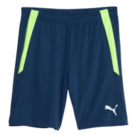 PUMA teamLIGA Training Football Shorts 'Blue Green' 657667-54