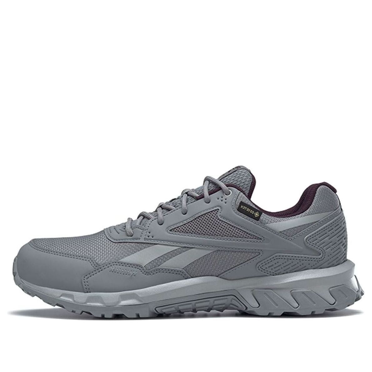 Reebok Ridge Rider 5.0 GTX 'Dark Grey' H03057