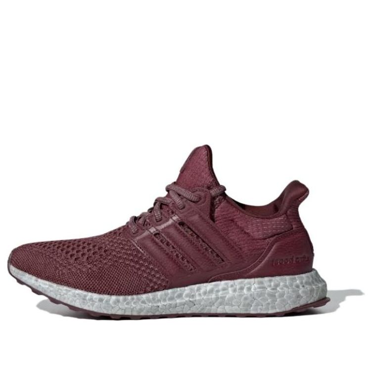 (WMNS) adidas Ultraboost 1.0 'Shadow Red' ID9676