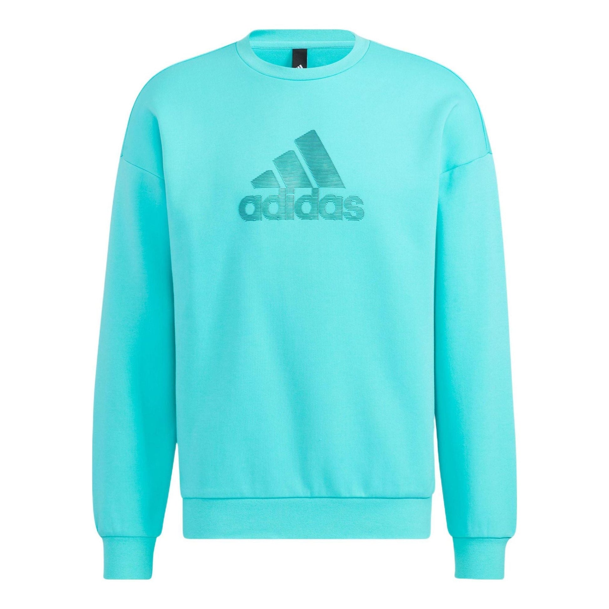 Men's adidas Logo Printing Pattern Pullover Round Neck Long Sleeves Blue HM2983