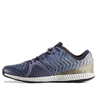 (WMNS) adidas CrazyTrain Pro 'Blue White' BB3251