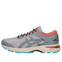 ASICS Gel-Kayano 25 'Stone Grey' 1021A128-020