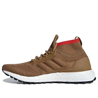 adidas UltraBoost ATR 'Raw Desert' CM8258