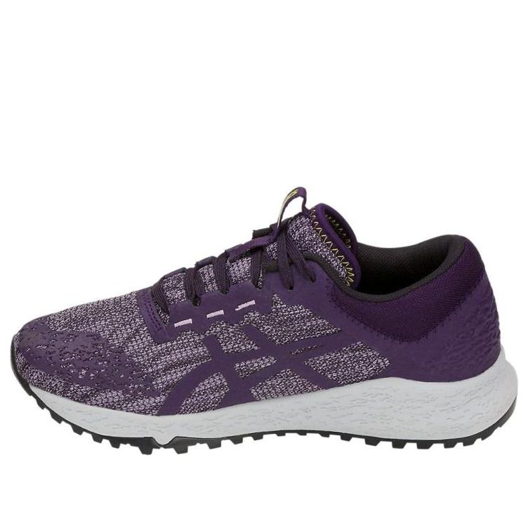 (WMNS) ASICS Alpine Xt Purple T878N-500