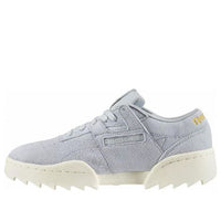 Reebok Workout Ripple OG Low Tops Casual Skateboarding Shoes Unisex Gray DV6308