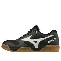 Mizuno City Wind Low Tops Skateboarding Shoes Unisex Black D1GA191409
