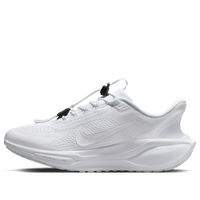 Nike Pegasus EasyOn Road 'White' FQ7844-101