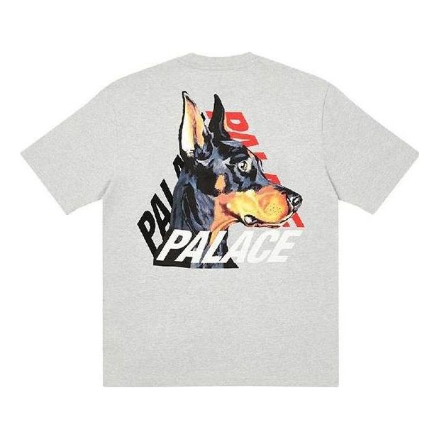 Palace P-3-K-9 T-Shirt 'Grey Marl' P22TS169