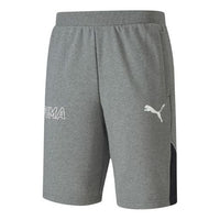 PUMA Logo Shorts 'Grey' 582838-03