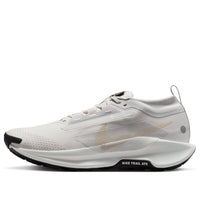Nike Pegasus Trail 5 Gore-Tex 'Vast Grey Sanddrift' FQ0908-010