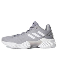 adidas Pro Bounce 2018 Low 'Light Onix' AH2676