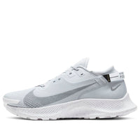 Nike Pegasus Trail 2 GTX 'Pure Platinum' DC1933-100