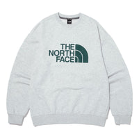 THE NORTH FACE Big Logo Sweater 'Grey' NM5MN61C