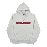 PALACE MAZIN HOOD Unisex Gray P15HD053