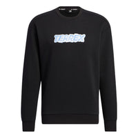 adidas Terrwx Gfx Crew Sweat HM9700
