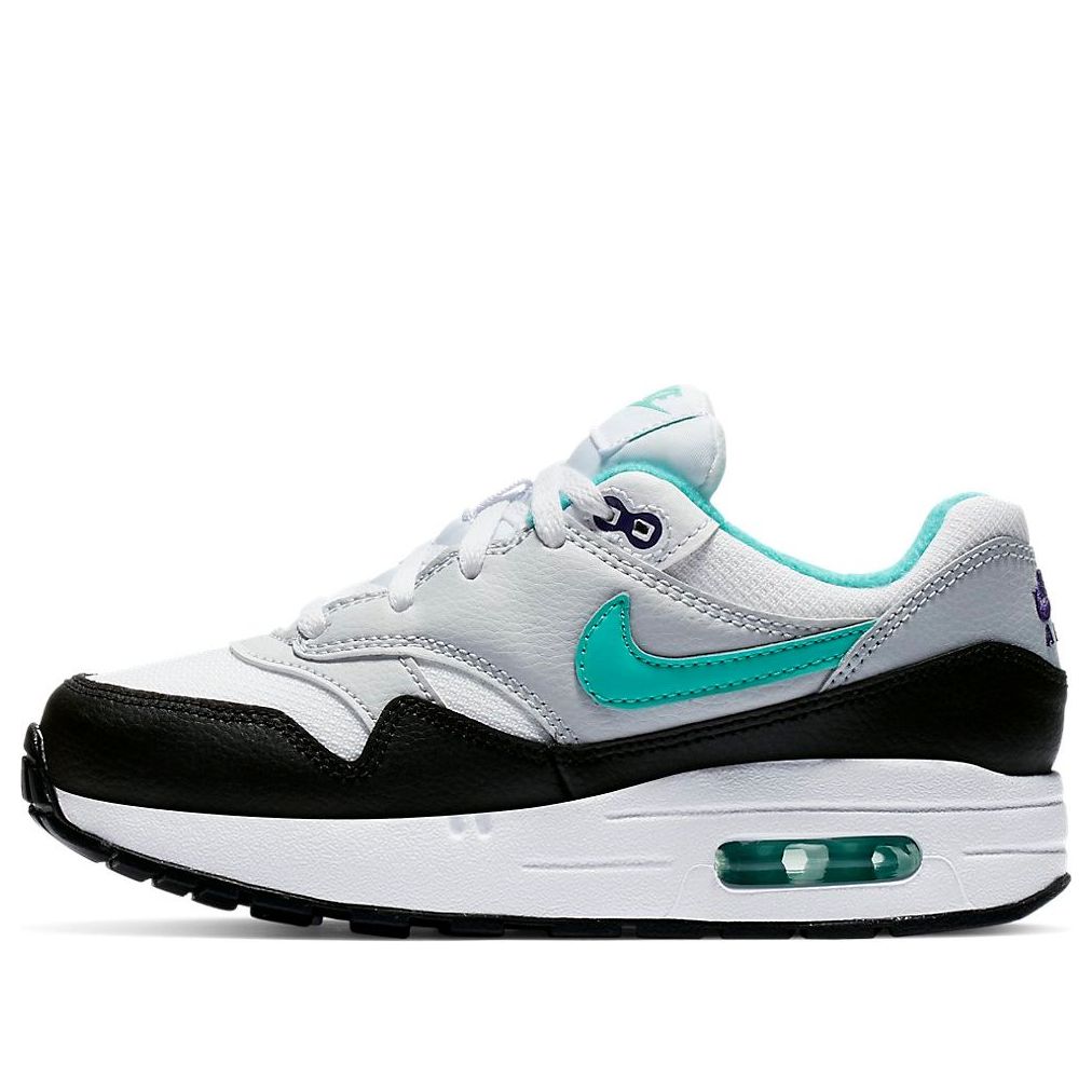 (PS) Nike Air Max 1 'Dusty Cactus' 807603-114