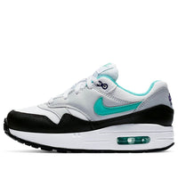 (PS) Nike Air Max 1 'Dusty Cactus' 807603-114