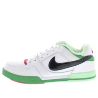 Nike SB Paul Rodriquez 2 Zoom Air 'Cinco De Mayo' 315459-103