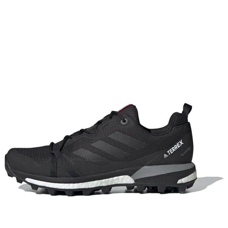 (WMNS) adidas Terrex Skychaser LT GTX 'Carbon' F36119