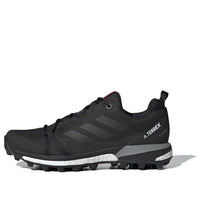 (WMNS) adidas Terrex Skychaser LT GTX 'Carbon' F36119