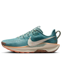 (WMNS) Nike Pegasus Trail 5 'Cannon' DV3865-010