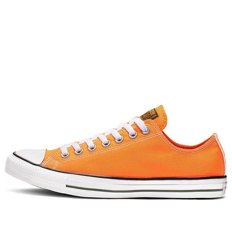 Converse Chuck Taylor All Star Summer Sport Low 164413C