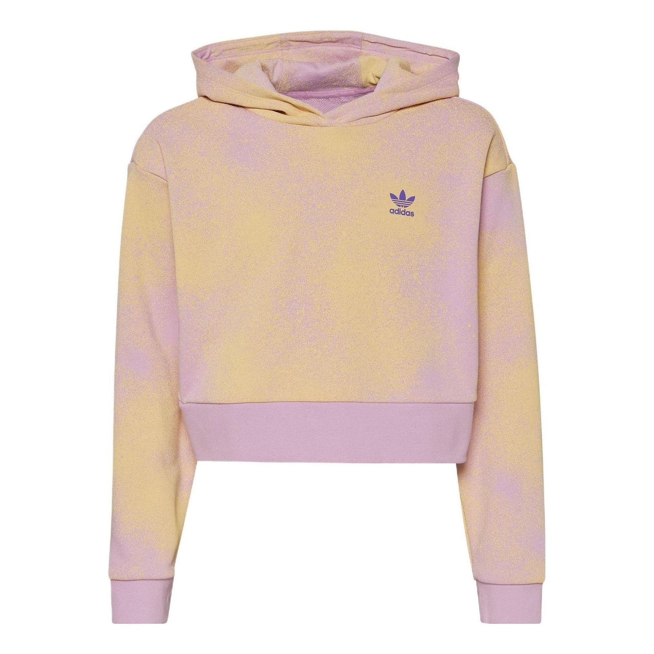 (GS) adidas Graphic Print Crop Hoodie Asia Sizing 'Multi-Color' HK2942