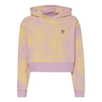(GS) adidas Graphic Print Crop Hoodie Asia Sizing 'Multi-Color' HK2942