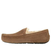UGG Ascot 'Chestnut' 5775-CHE