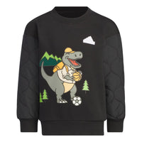 (GS) adidas Graphic Crew Asia Sizing 'Black' IQ1334