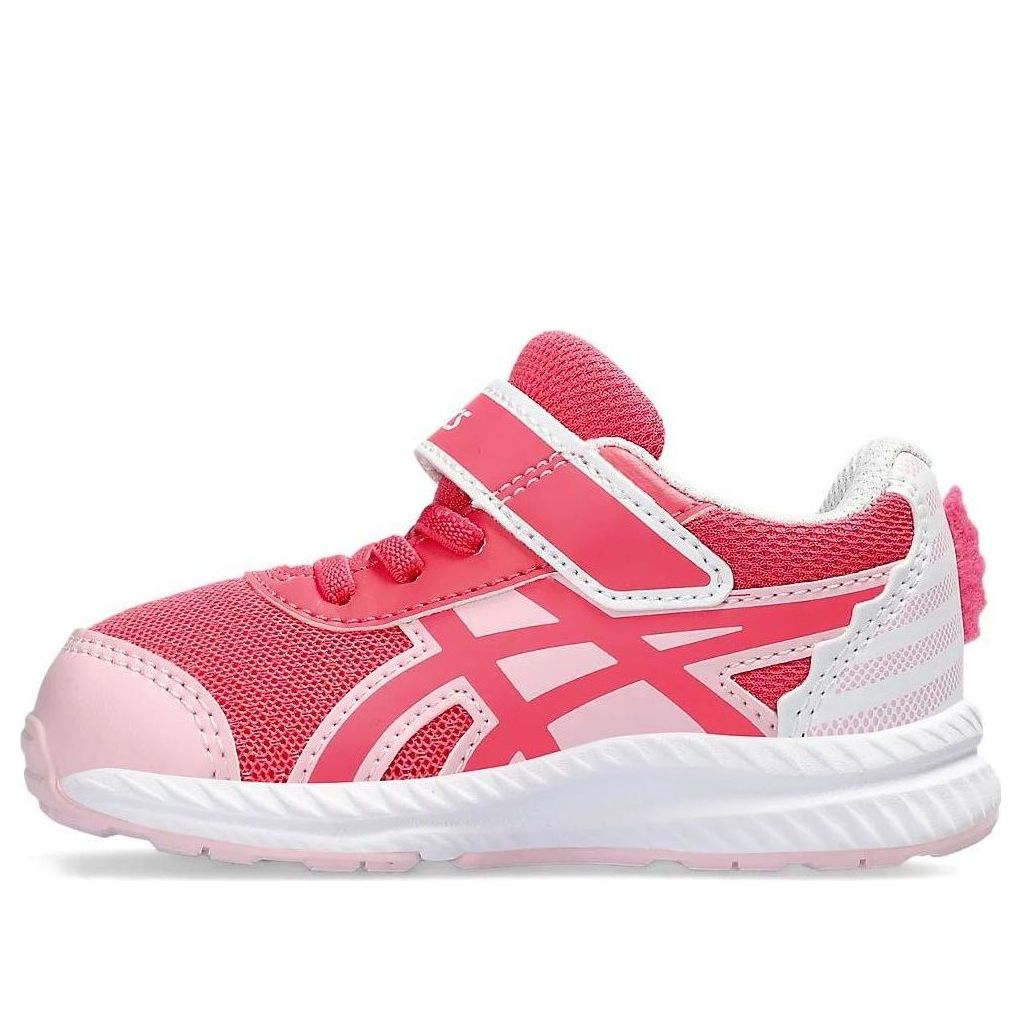 (TD) ASICS Gel-Contend 8 'Seahorse' 1014A313-700