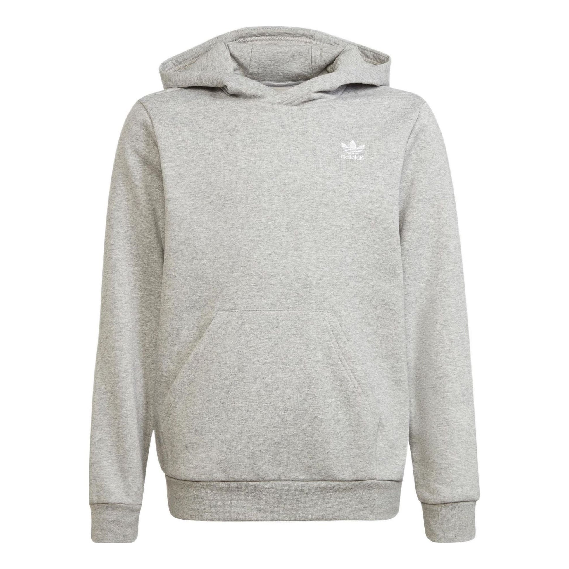 (PS) adidas Originals Adicolor Hoodie 'Grey' H32353