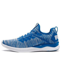PUMA Ignite Flash Evoknit 'Blue White' 190508-13