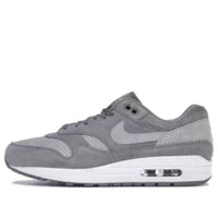 Nike Air Max 1 'Cool Grey Wolf Grey' 875844-005
