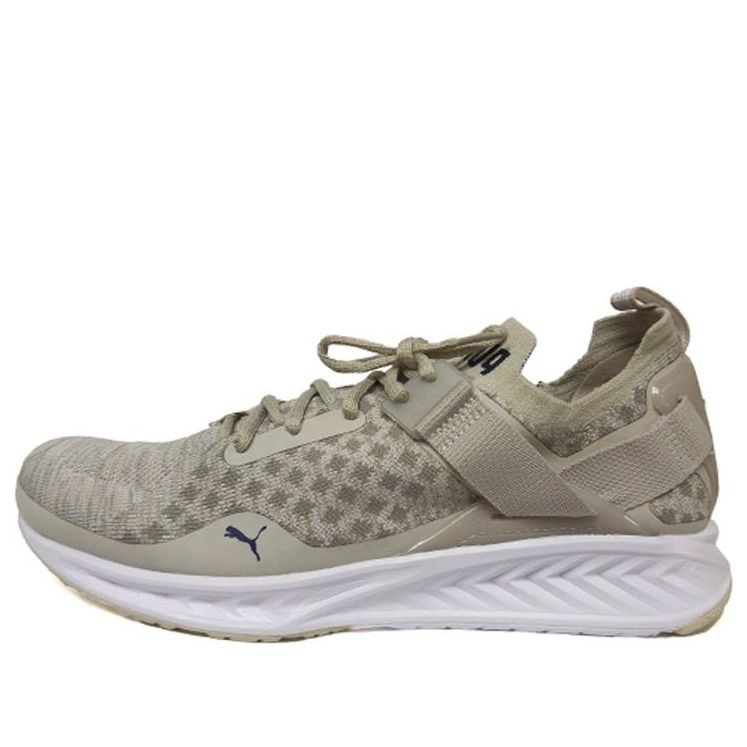 PUMA Ignite EvoKnit Lo Pavement 189926-02