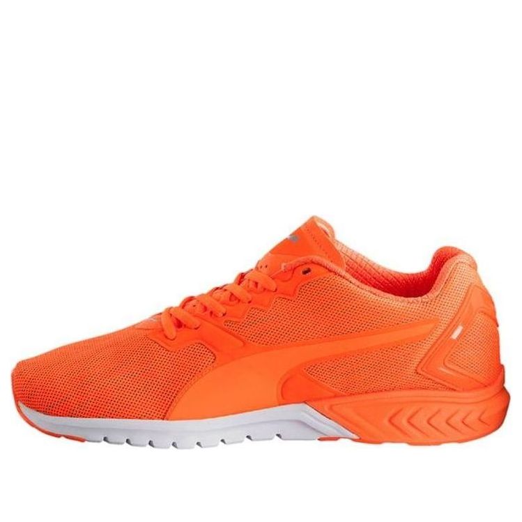 PUMA Ignite Dual Nightcat Low Cut Running Shoes Orange 189354-02