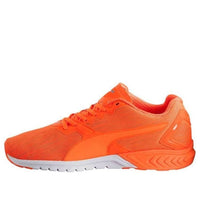 PUMA Ignite Dual Nightcat Low Cut Running Shoes Orange 189354-02