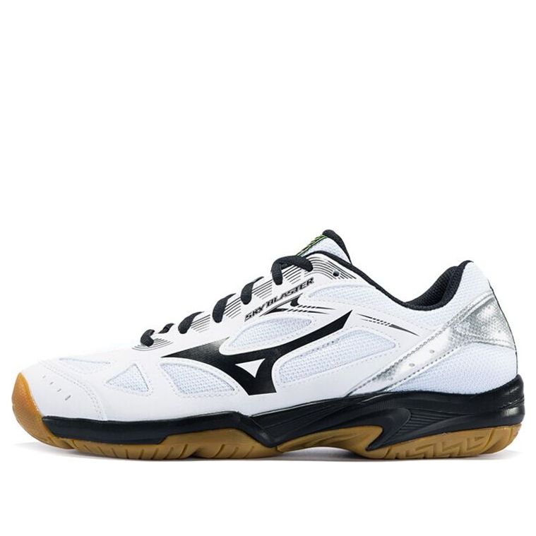 Male Mizuno Sky Blaster Badminton shoes 'White Black' 71GA194510
