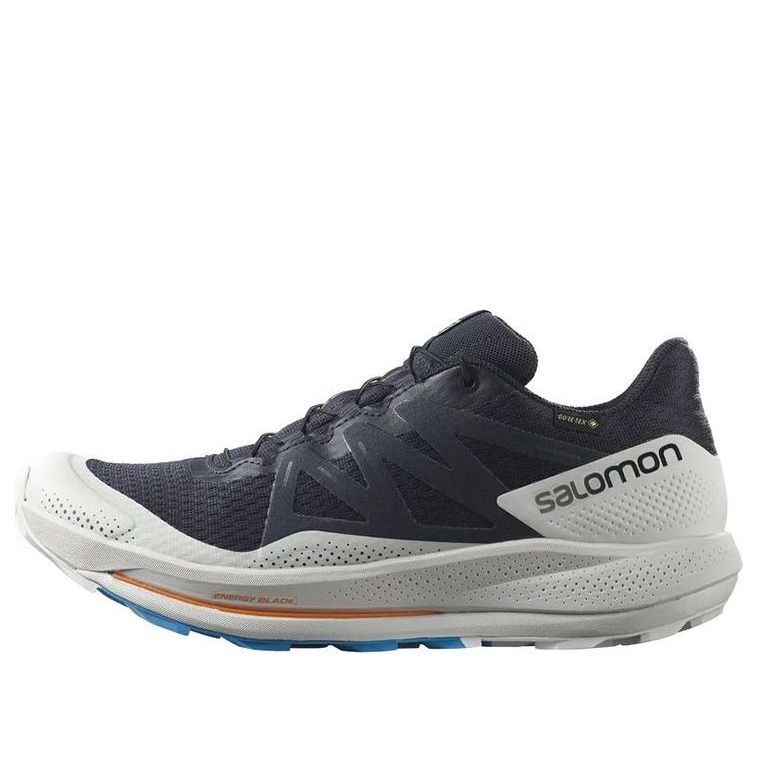 Salomon Pulsar Trail GTX 'Night Sky' 417499