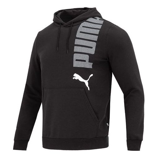 PUMA Essentials Logolab Hoodie 'Black' 675685-01