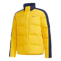 Men's adidas neo Colorblock High Collar Sports Gold Color Down Jacket GP5913