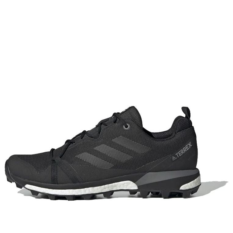 adidas Terrex Skychaser LT GTX 'Carbon' F36099