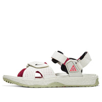 Nike ACG Air Deschutz 'Spruce' CT2890-001