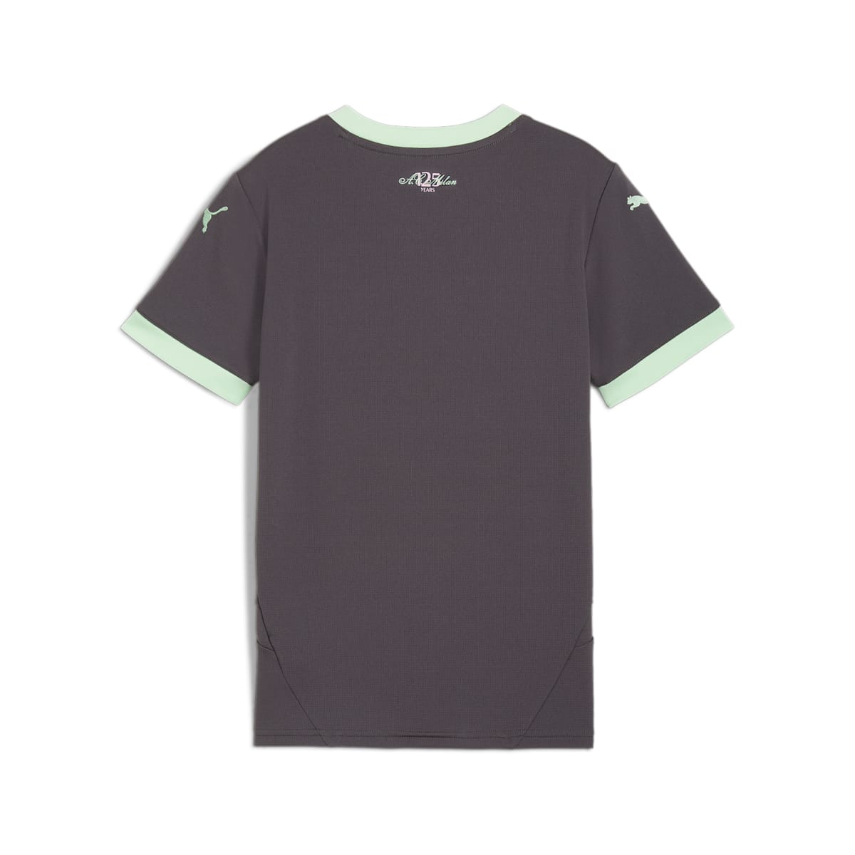 (GS) PUMA AC Milan 24/25 Third Jersey 'Grey Mint' 775037-03