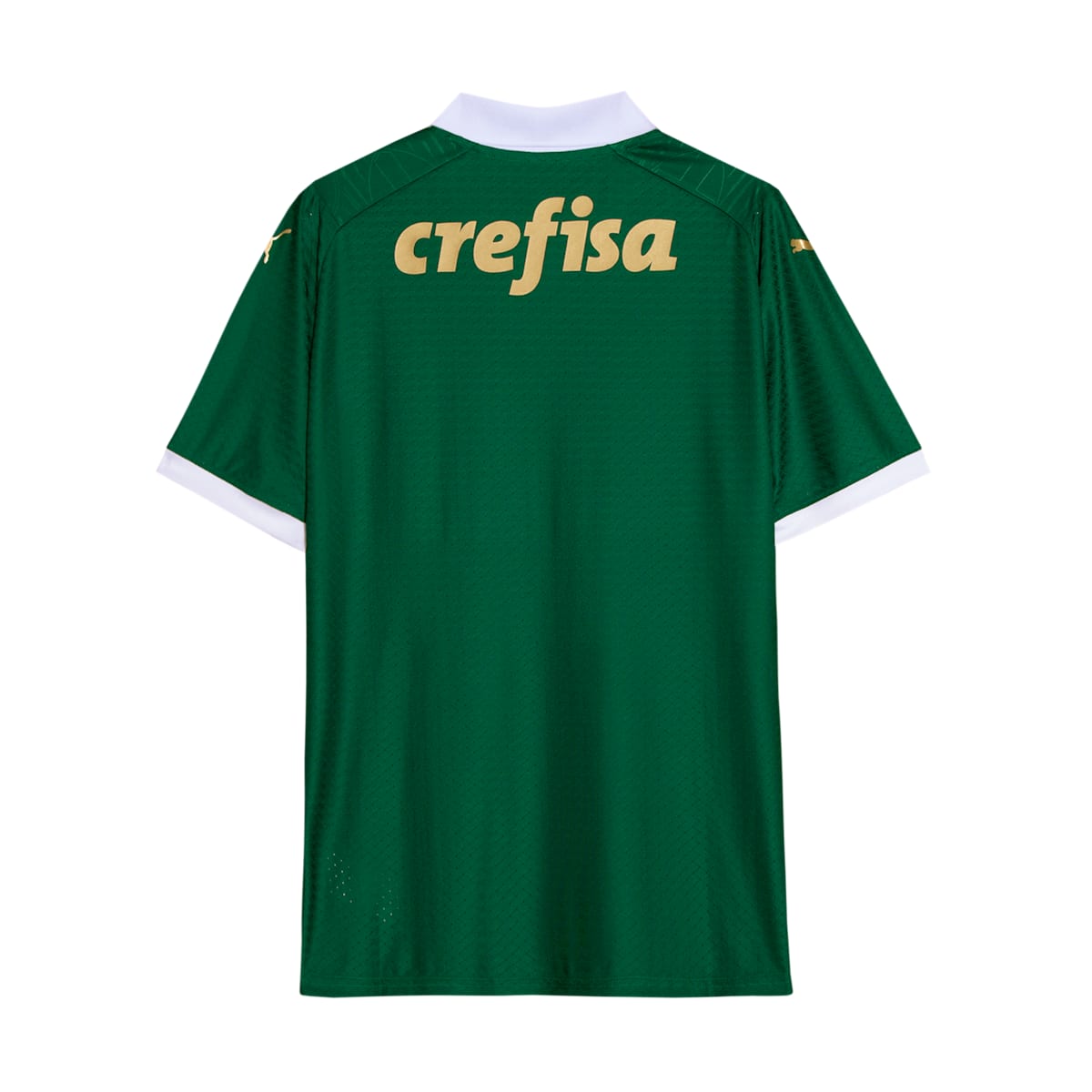 PUMA SE Palmeiras 24 Authentic Home Jersey 'Green' 777237-01