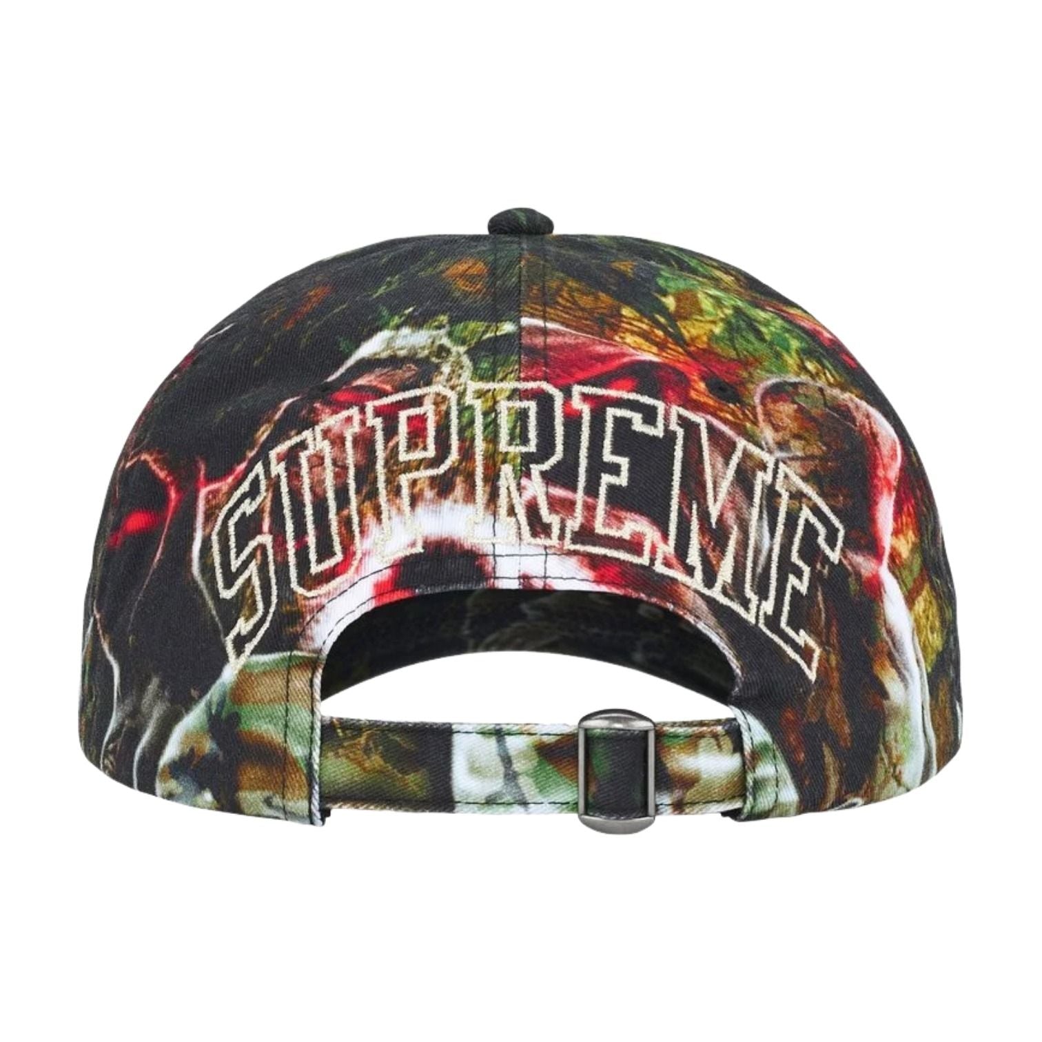 Supreme SS26 Shadows 6-Panel 'Multicolor' SUP-SS26-1036